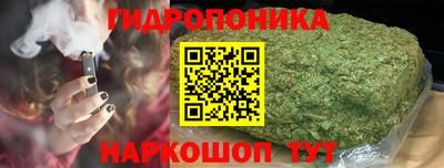 стаф Севастополь