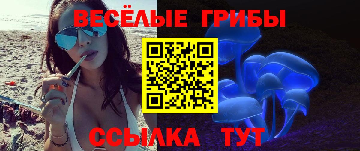 Псилоцибиновые грибы мухоморы  Псилоцибиновые грибы ЛСД  купить наркотик  Вход с VPN  Обнинск 
